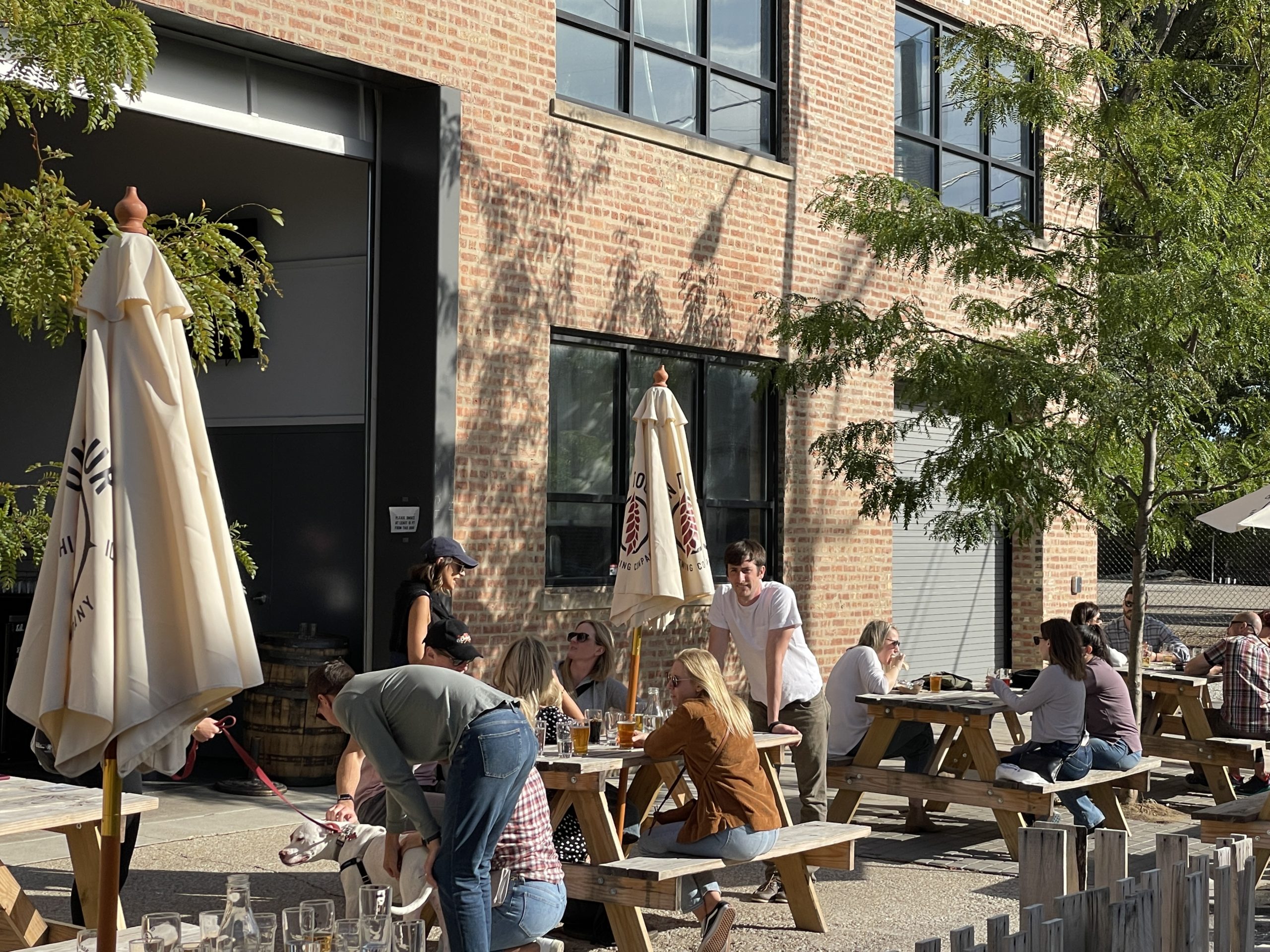 Eat and Drink in Chicago's West Loop, Fulton Market and Fulton