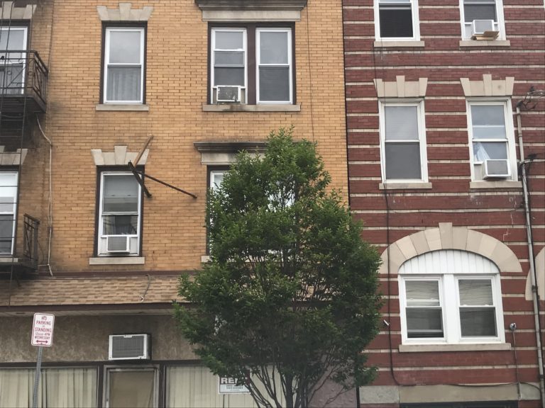 Where to Eat in Newark’s Ironbound Neighborhood Globalphile