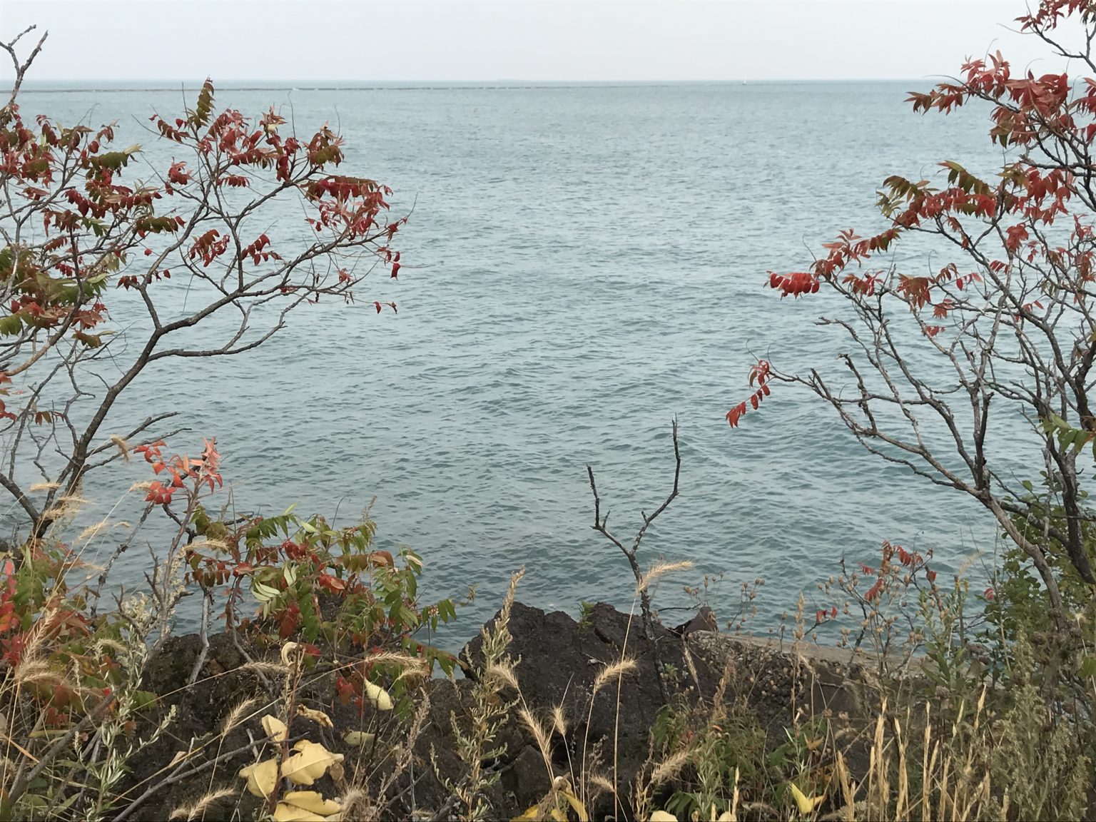 Exploring the Pullman, South Shore, South Chicago and Greater Grand ...