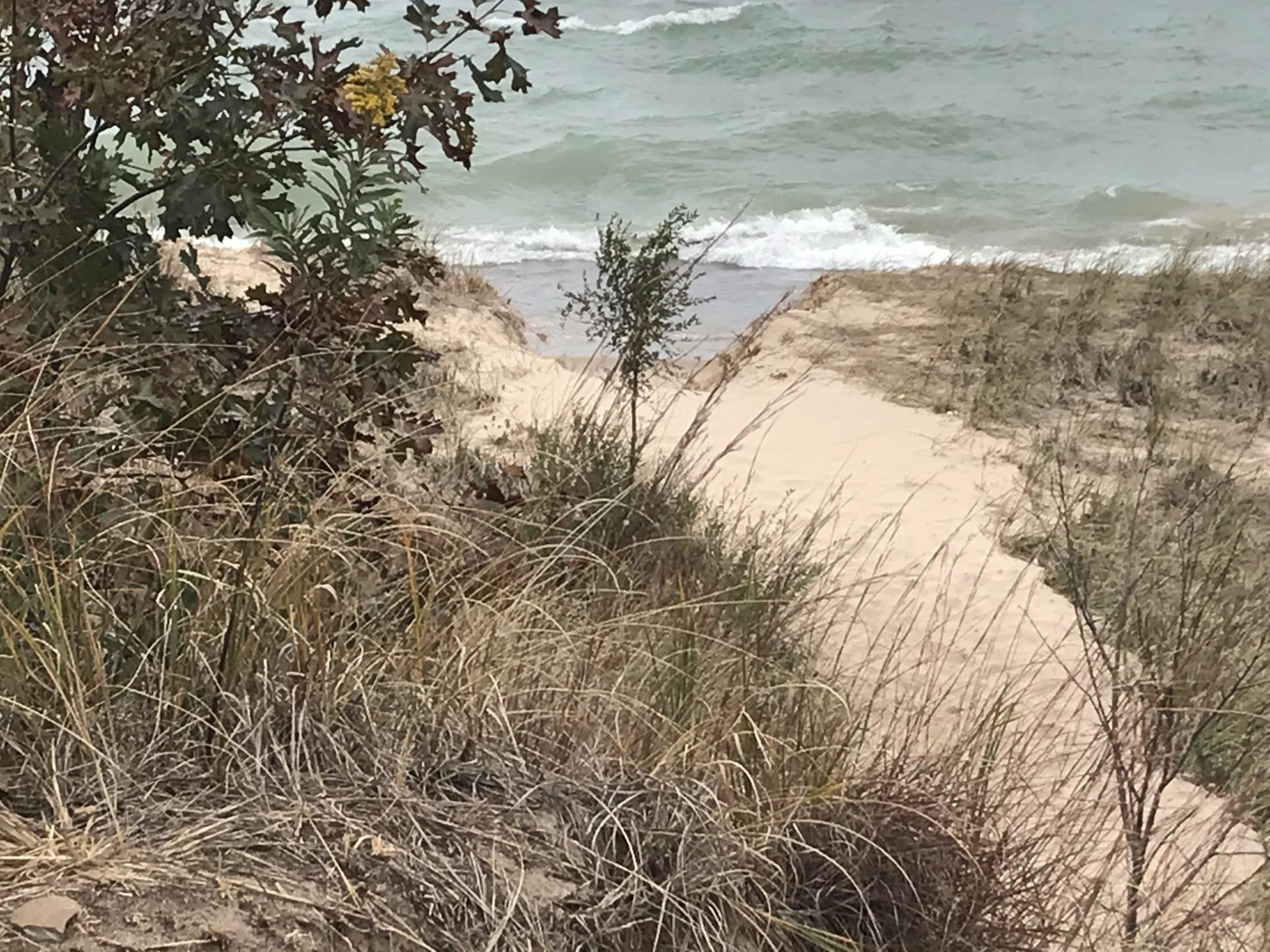 Day Trips From Chicago, IL Visiting The Indiana Dunes Globalphile