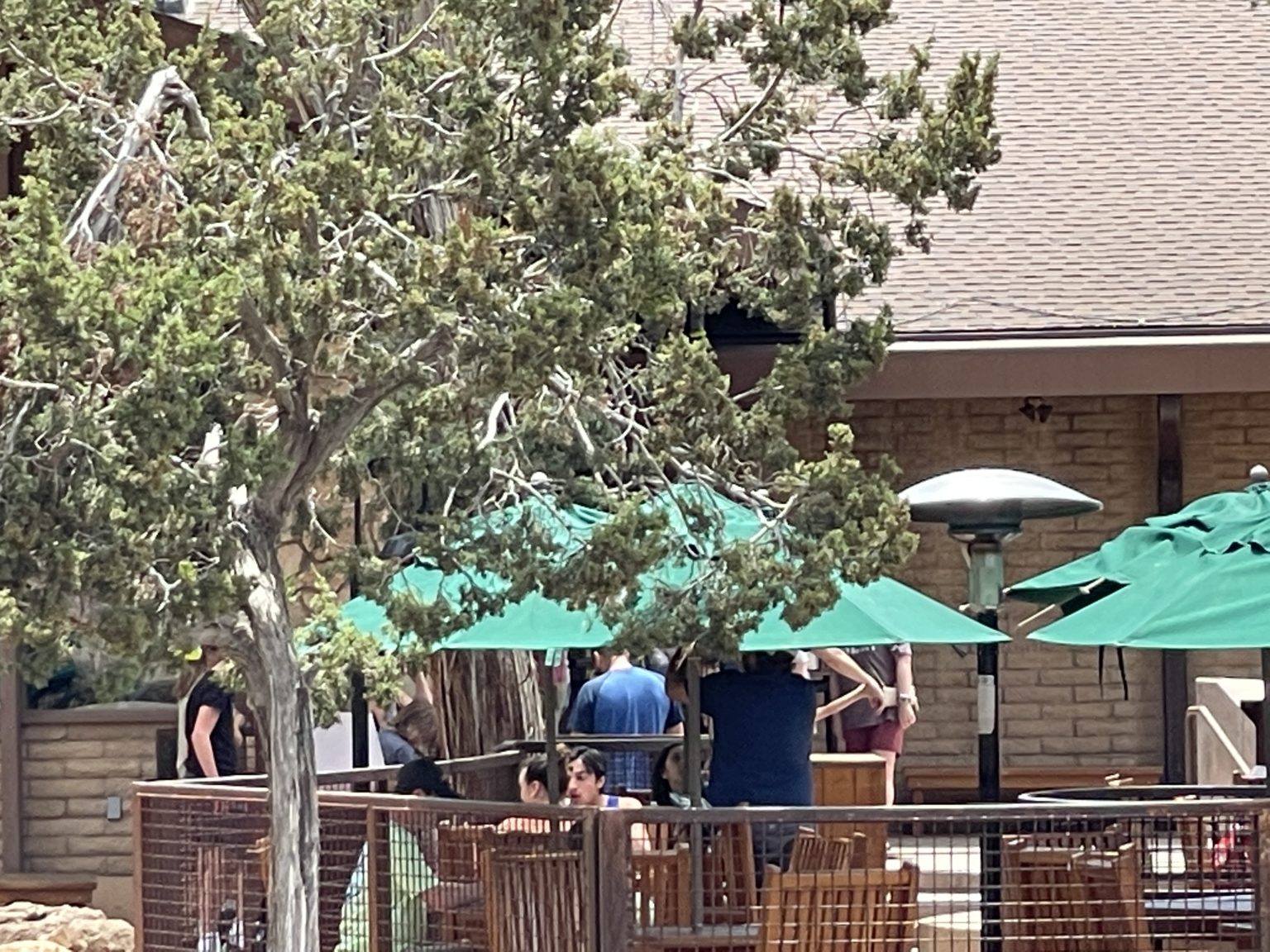 Visiting the South Rim of the Grand Canyon Globalphile