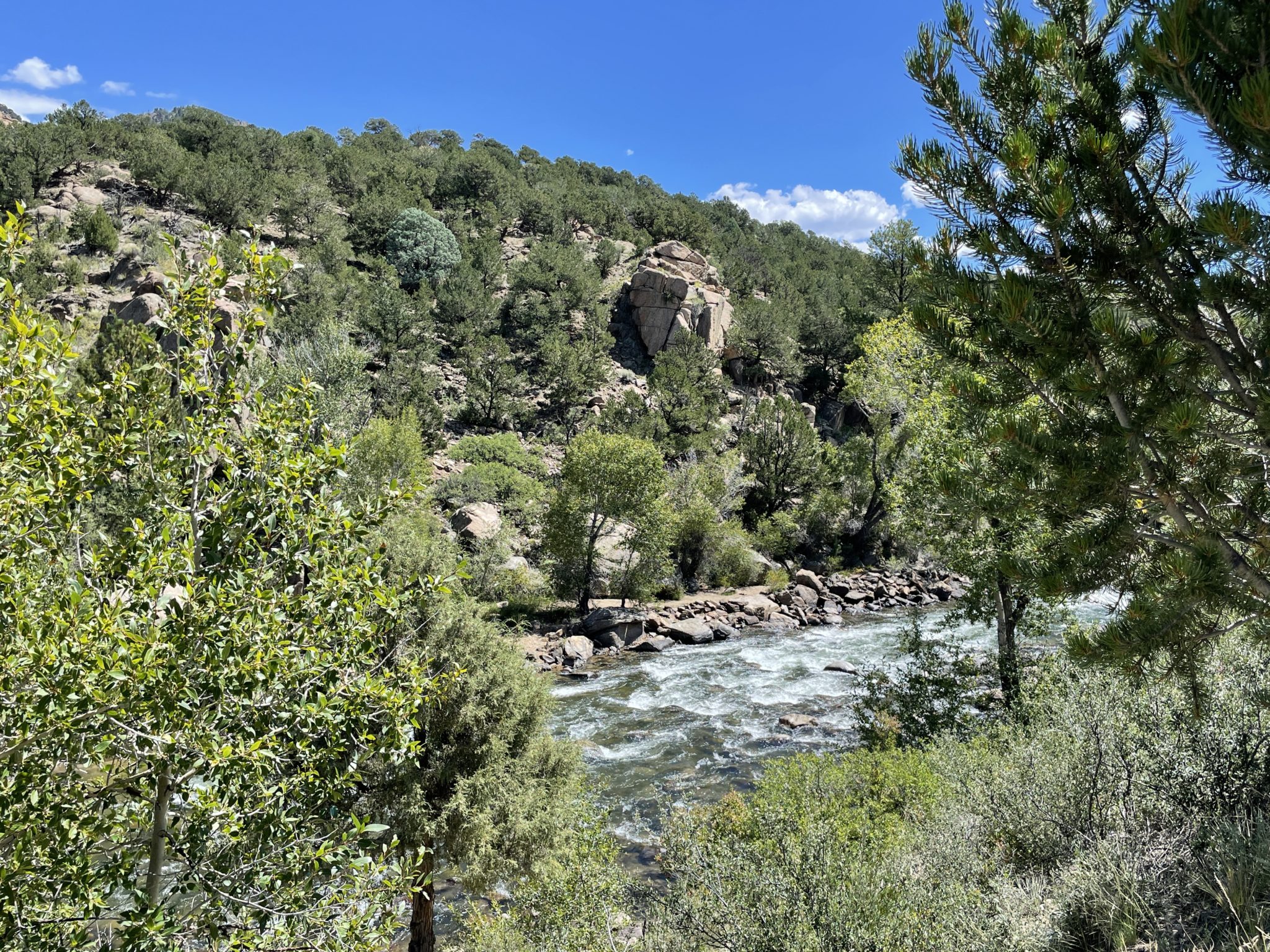 Buena Vista main image 1